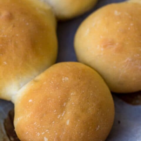 Simple Dinner Rolls