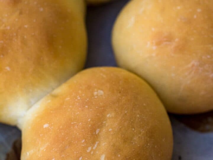 Simple Dinner Rolls