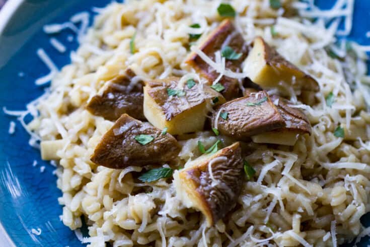 Mushroom Risotto