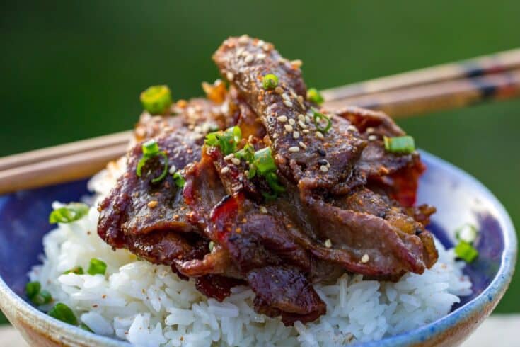 Traeger Beef Bulgogi