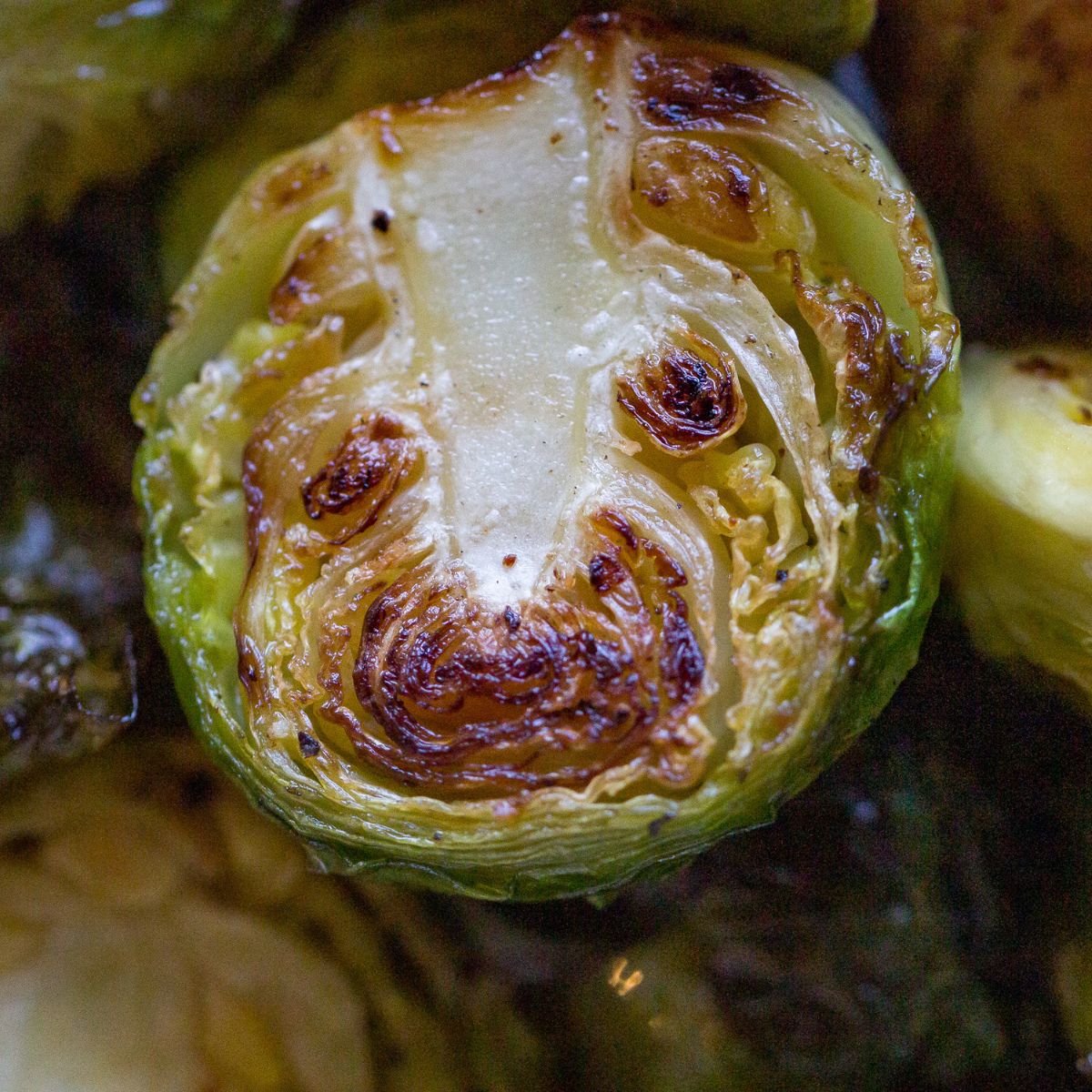 Traeger Grilled Brussels Sprouts