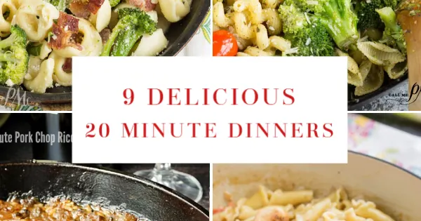 https://www.orwhateveryoudo.com/wp-content/uploads/2020/04/9-20-minute-dinners.png.webp