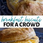 Breakfast Biscuits for a Crowd
