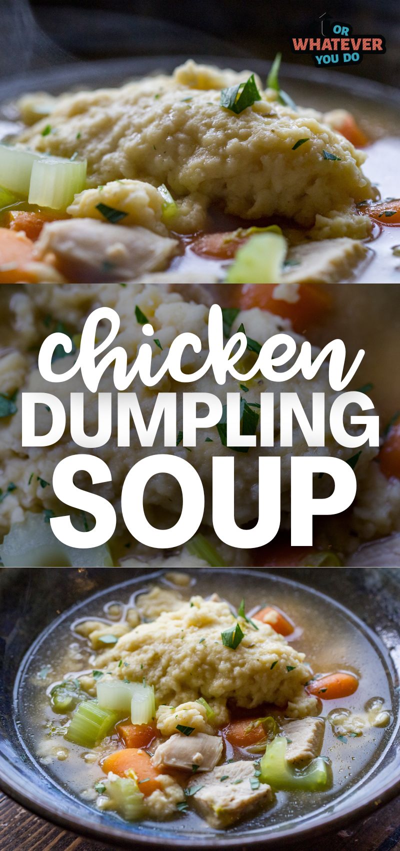 Chicken Dumpling Soup