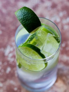 Classic Gin and Tonic