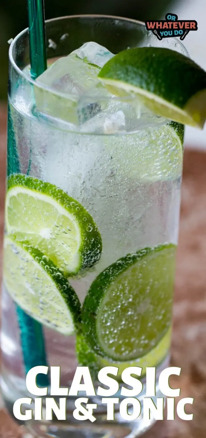 Classic Gin and Tonic