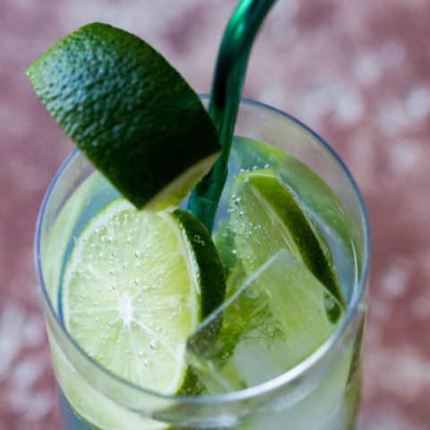 Classic Gin and Tonic