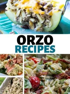 Orzo Recipes