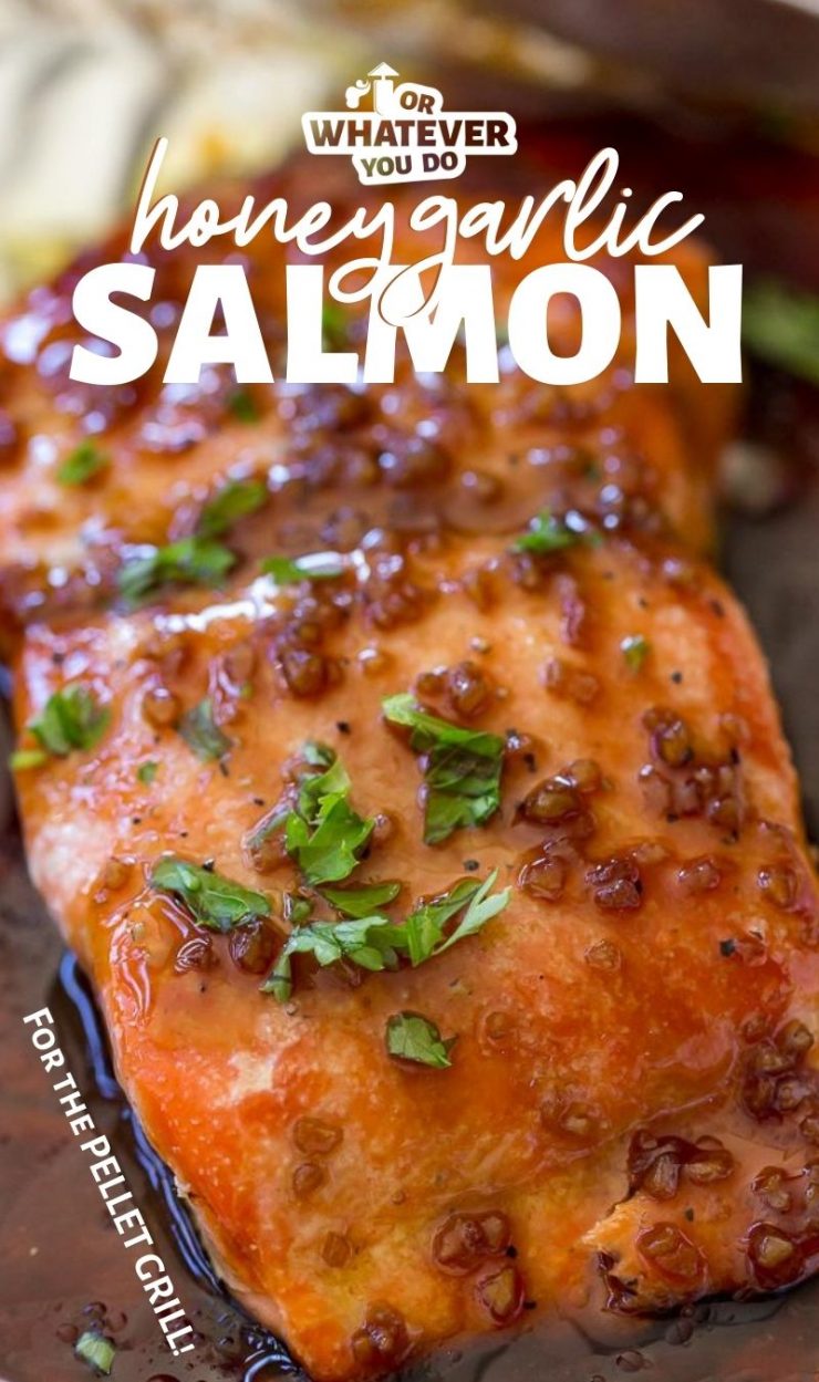 Traeger Honey Garlic Salmon