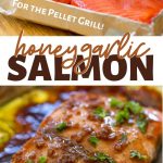 Honey Garlic Salmon