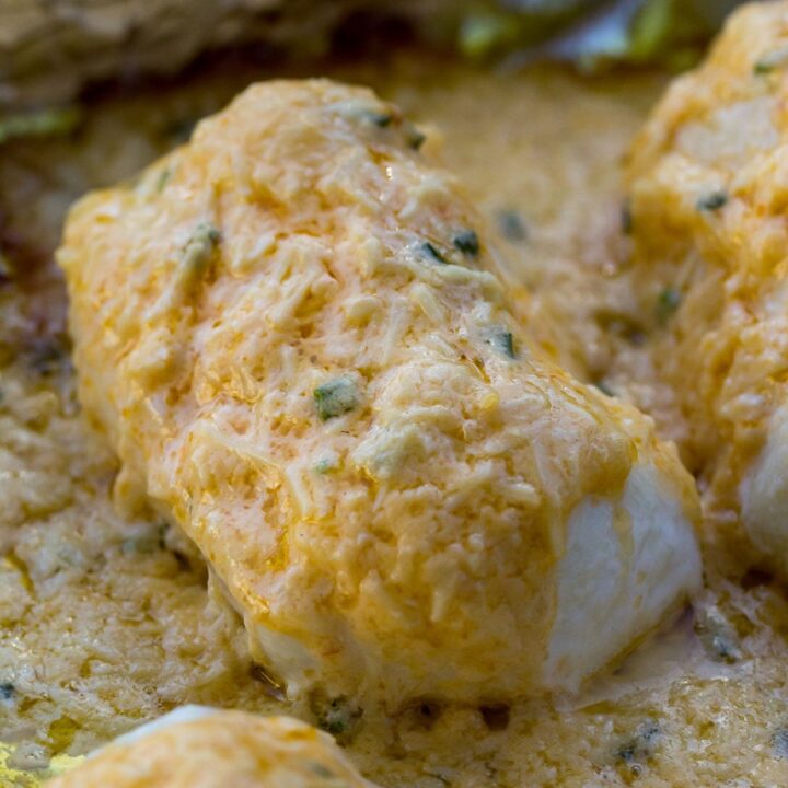 Traeger Halibut with Parmesan Crust