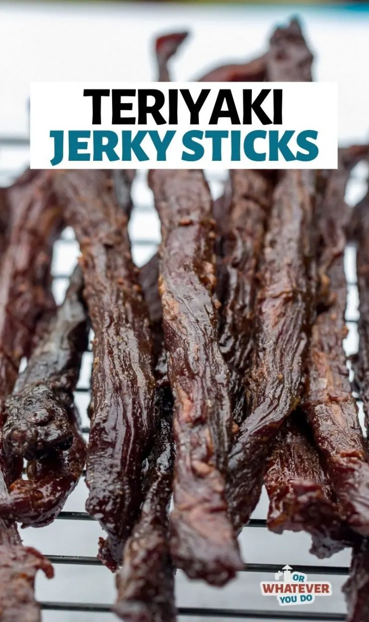 Teriyaki Deer Jerky Recipe