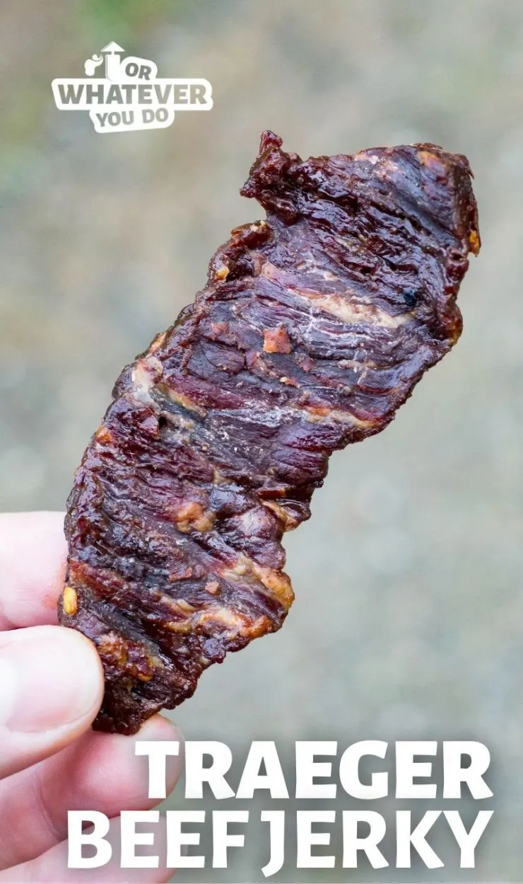 Homemade Teriyaki Venison Jerky