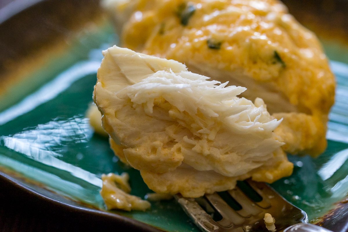 Traeger Halibut with Parmesan Crust