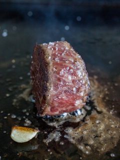 Snake River Farms Wagyu Manhattan New York Filet