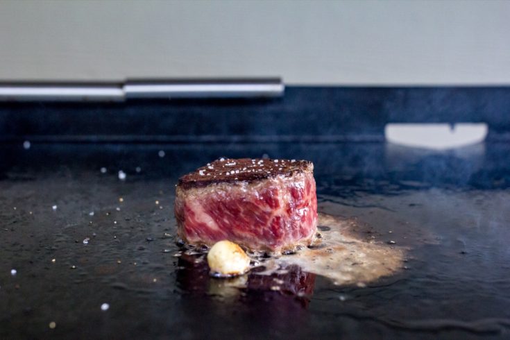 https://www.orwhateveryoudo.com/wp-content/uploads/2020/11/Snake-River-Farms-Waygu-Manhattan-New-York-Filet-44-copy-735x490.jpg