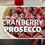 Sparkling Cranberry Prosecco