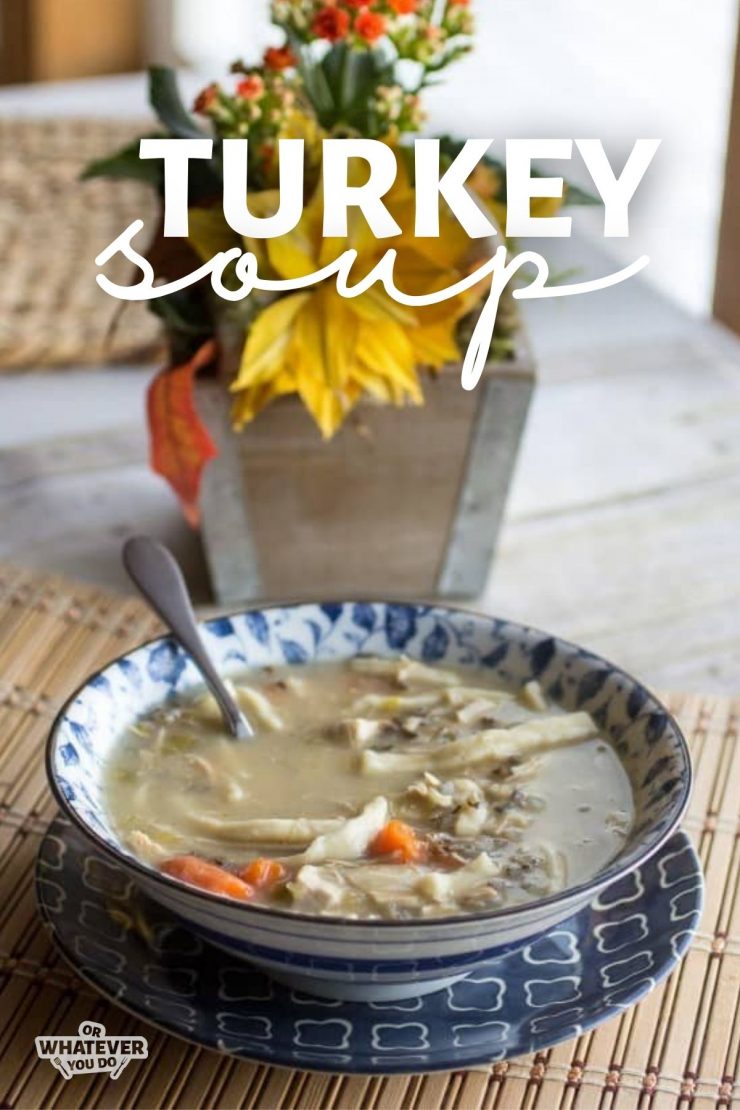 Turkey-Noodle-Soup