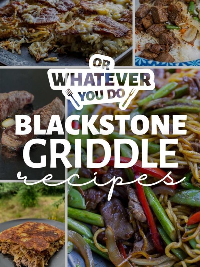 90+ Amazing Blackstone Recipes