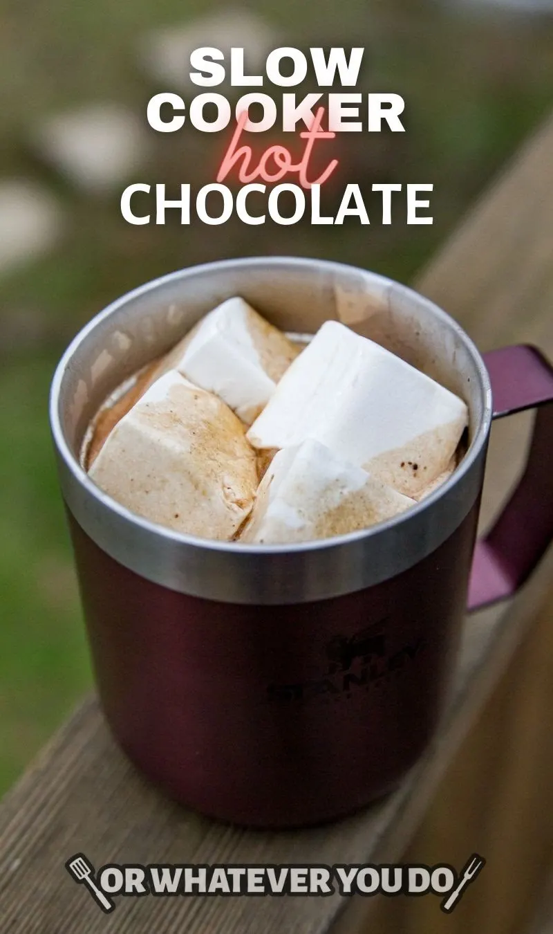 https://www.orwhateveryoudo.com/wp-content/uploads/2021/01/04e75b5d-4325-43d5-a8bc-2c43c7611831_Slow20Cooker20Hot20Chocolate202.jpg.webp