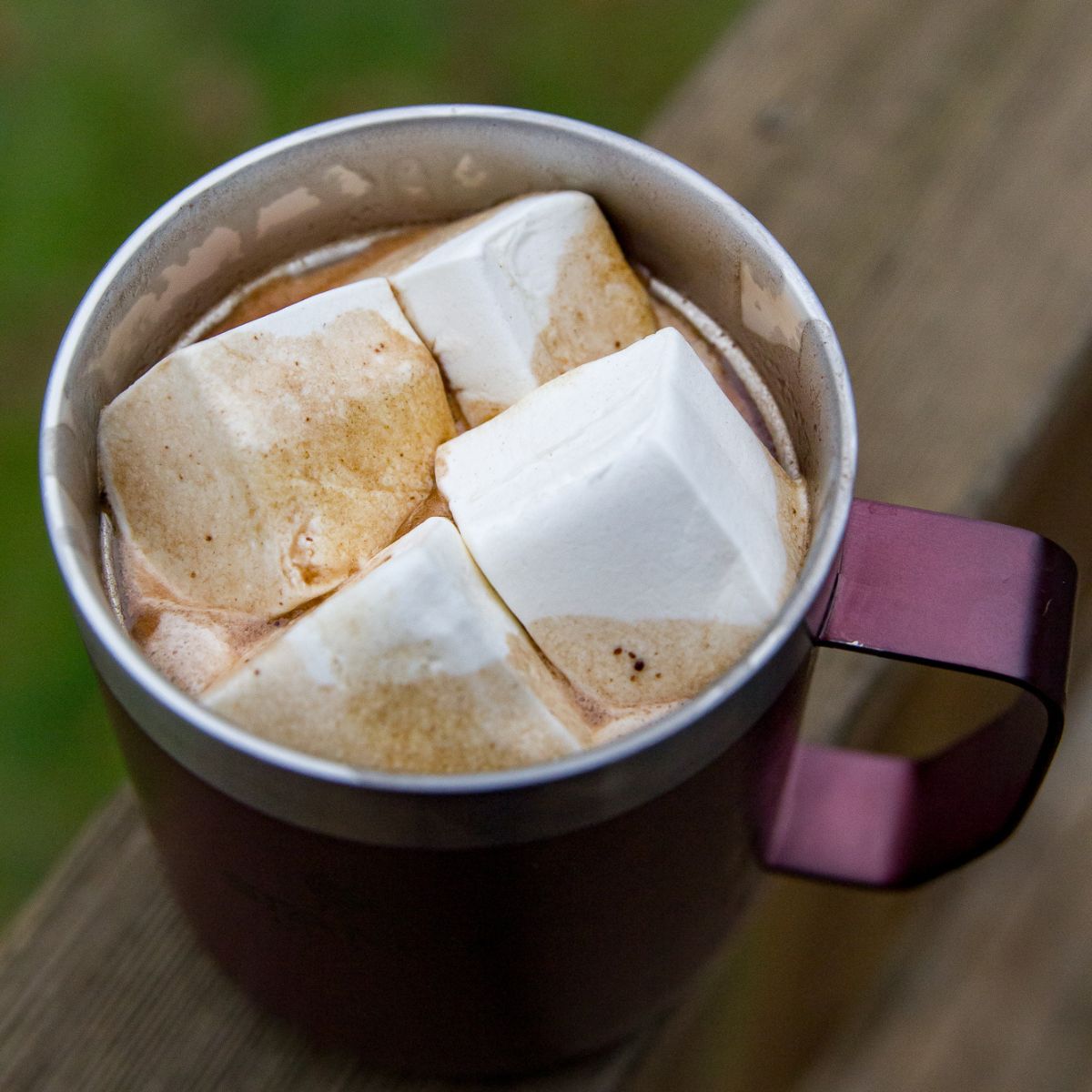 Slow Cooker Hot Chocolate