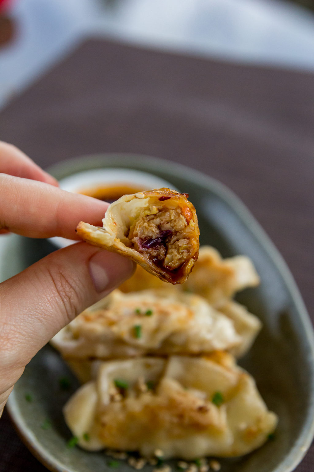 Blackstone Kimchi Gyoza Blackstone Griddle Appetizer Recipe