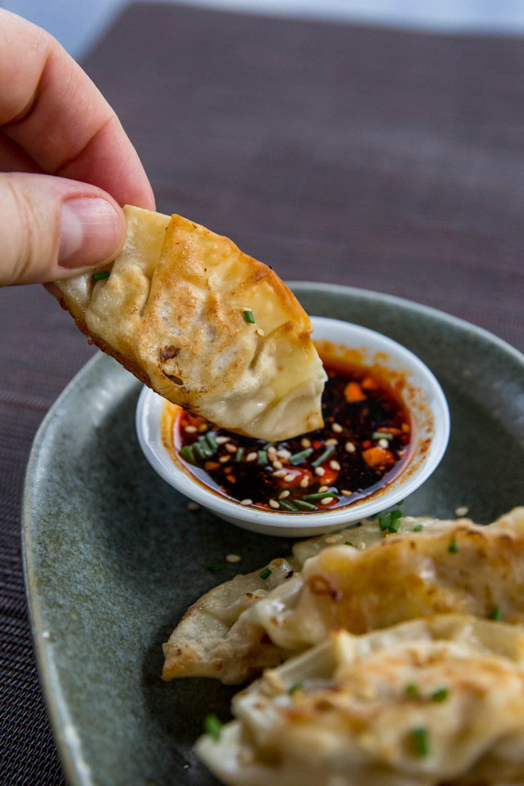 Blackstone Kimchi Gyoza Blackstone Griddle Appetizer Recipe