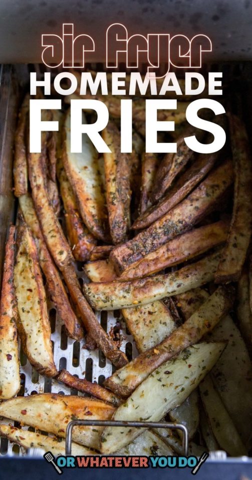 Homemade French Fries in the Air Fryer Or Whatever You Do