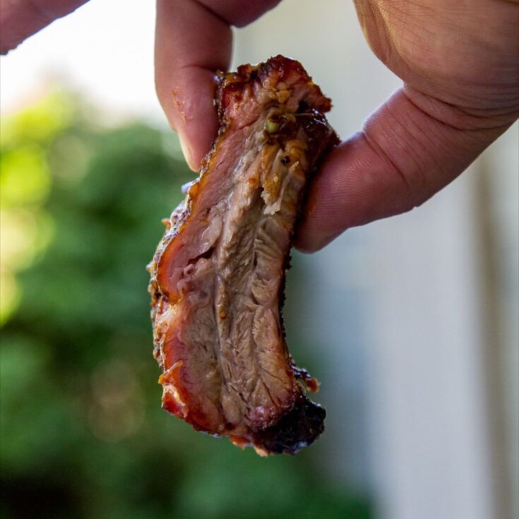 Spicy Smoked Pork Ribs