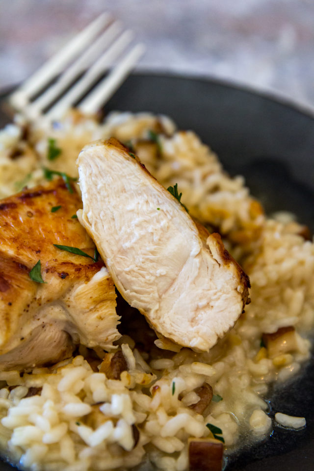 Blackstone Seared Chicken Breasts Or Whatever You Do