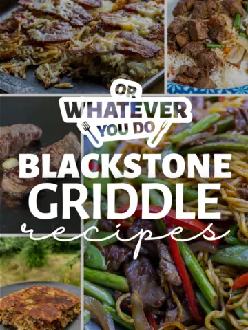 90+ Incredible Blackstone Recipes
