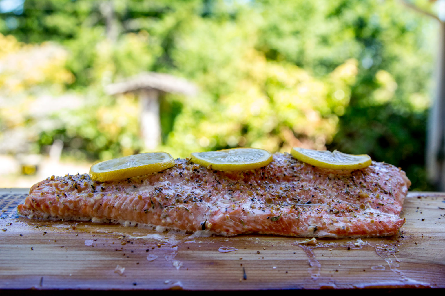 Cedar Plank Salmon on the pellet grill Or Whatever You Do