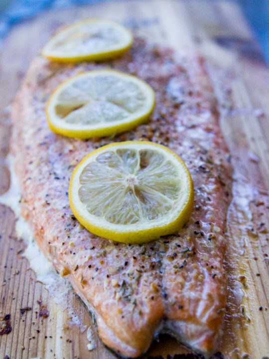 Pellet Grill Fish Recipes Or Whatever You Do