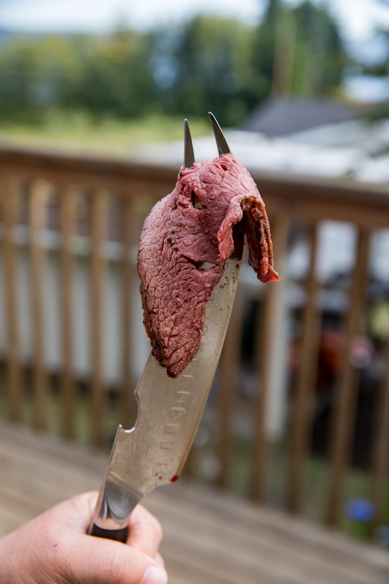 BBQ Pitmaster & Meat Knife 8" with Forked Tip & Bottle Opener