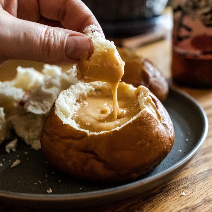 Traeger Beer Cheese Dip