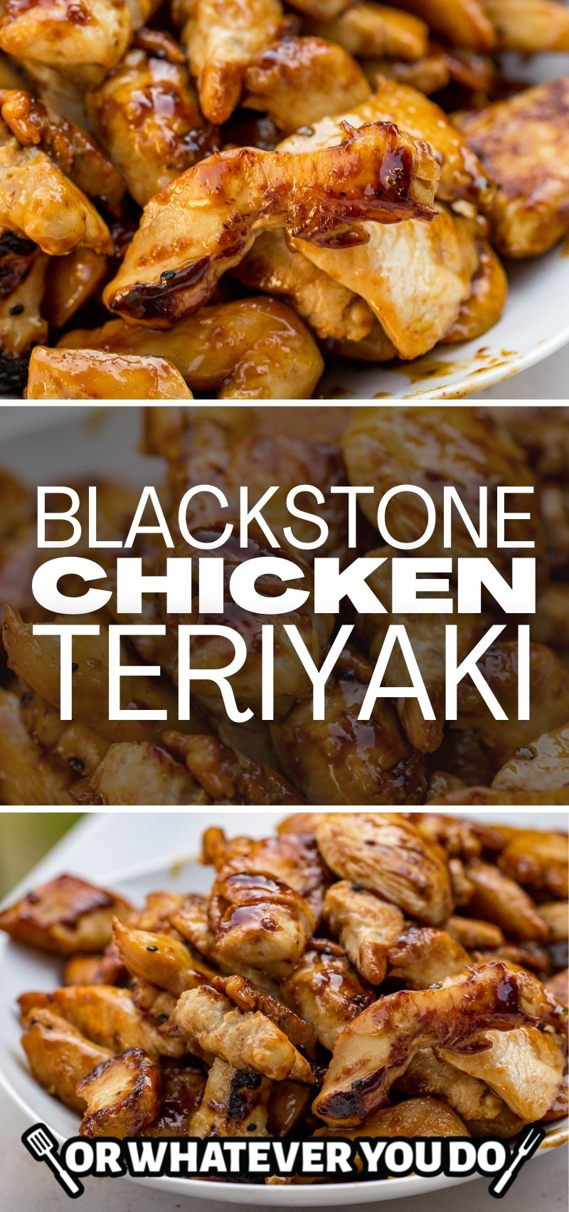 Blackstone Sweet Teriyaki Seasoning | 4132