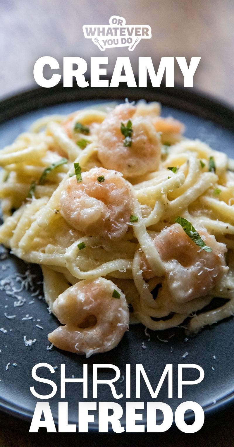 Creamy Shrimp Alfredo Recipe – Or Whatever You Do