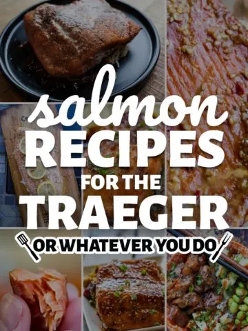Traeger Salmon Recipes