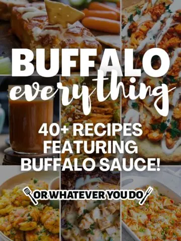 Buffalo EVERYTHING – 40 Buffalo Recipes to knock your socks off