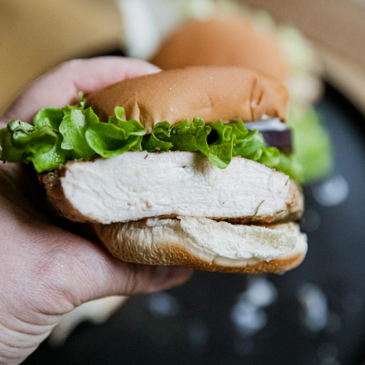 Grilled Chicken Sandwich-image