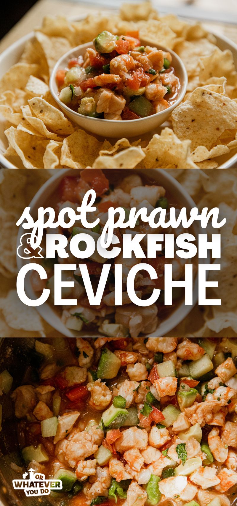 Spot Prawn and Rockfish Ceviche