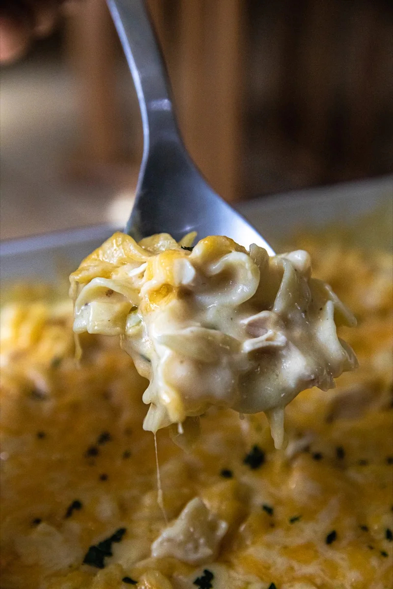 Traeger Cheesy Chicken Casserole