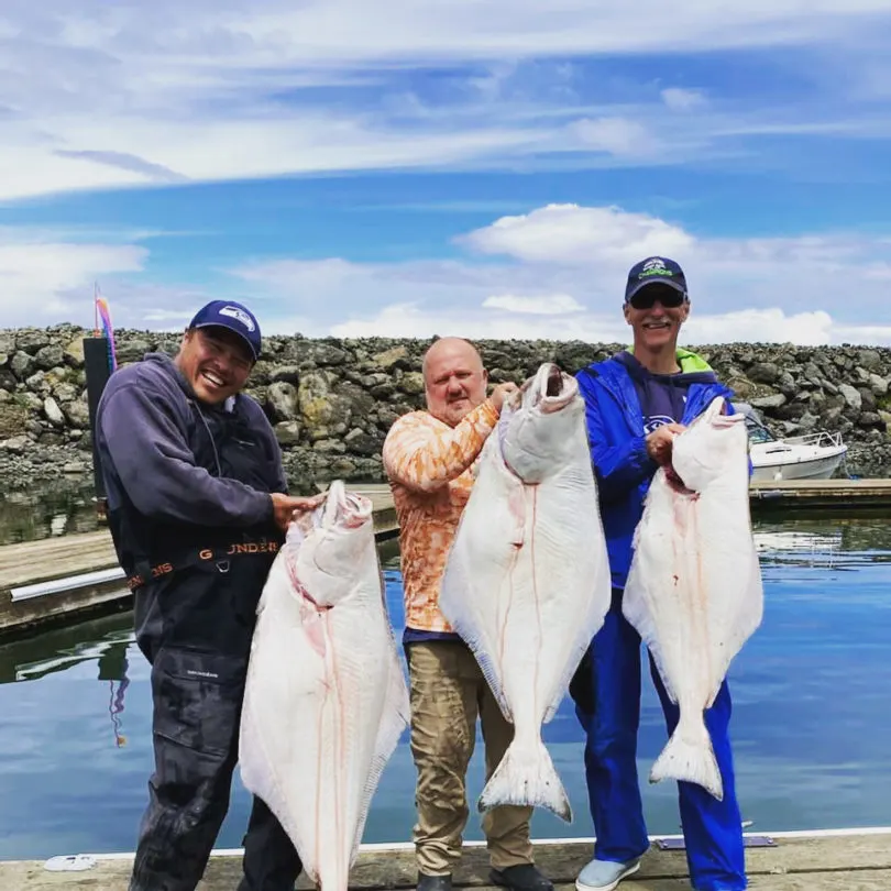 Fresh Halibut