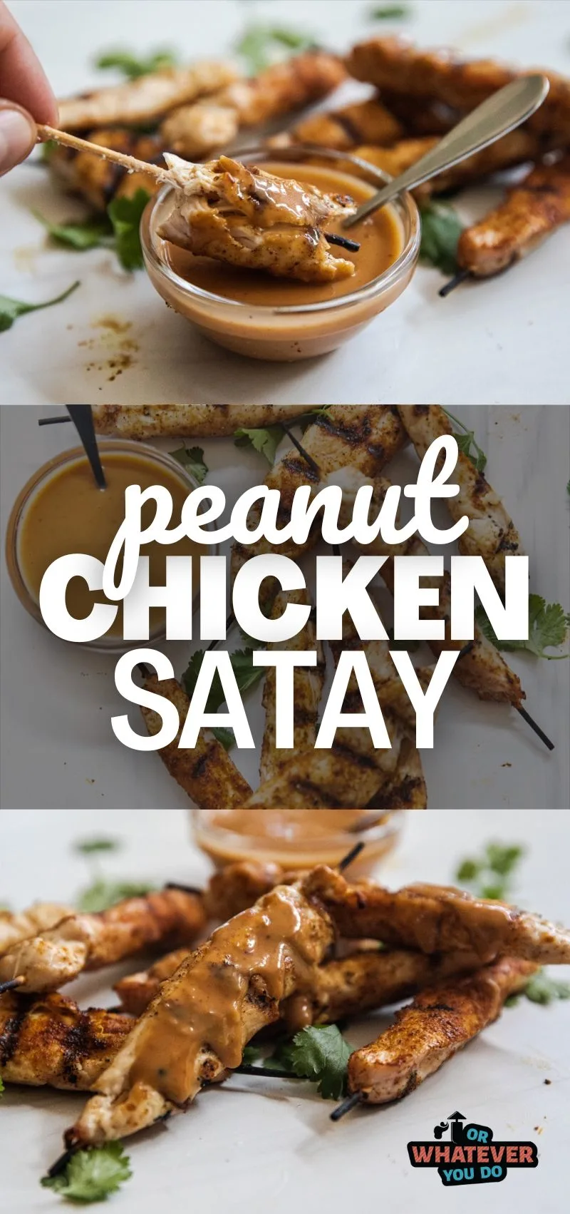Peanut Chicken Satay