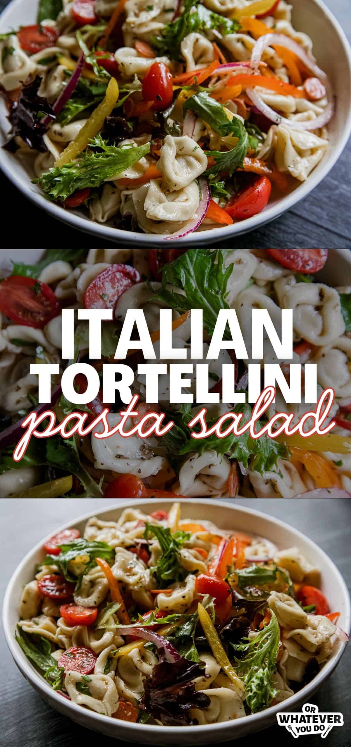 Colorful Italian tortellini pasta salad with vegetables and herbs.
