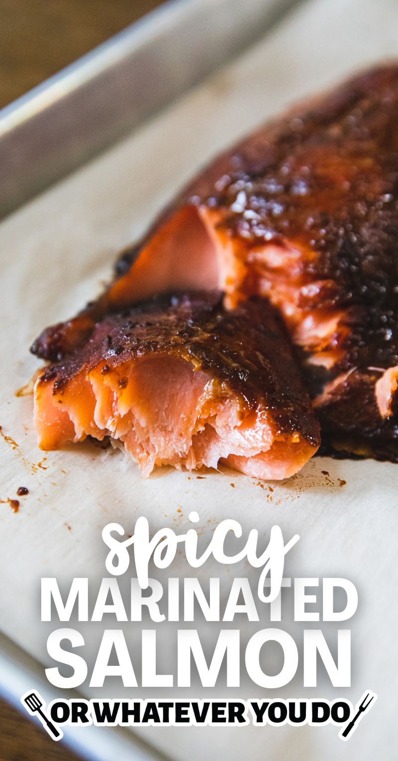 Traeger Spicy Marinated Salmon