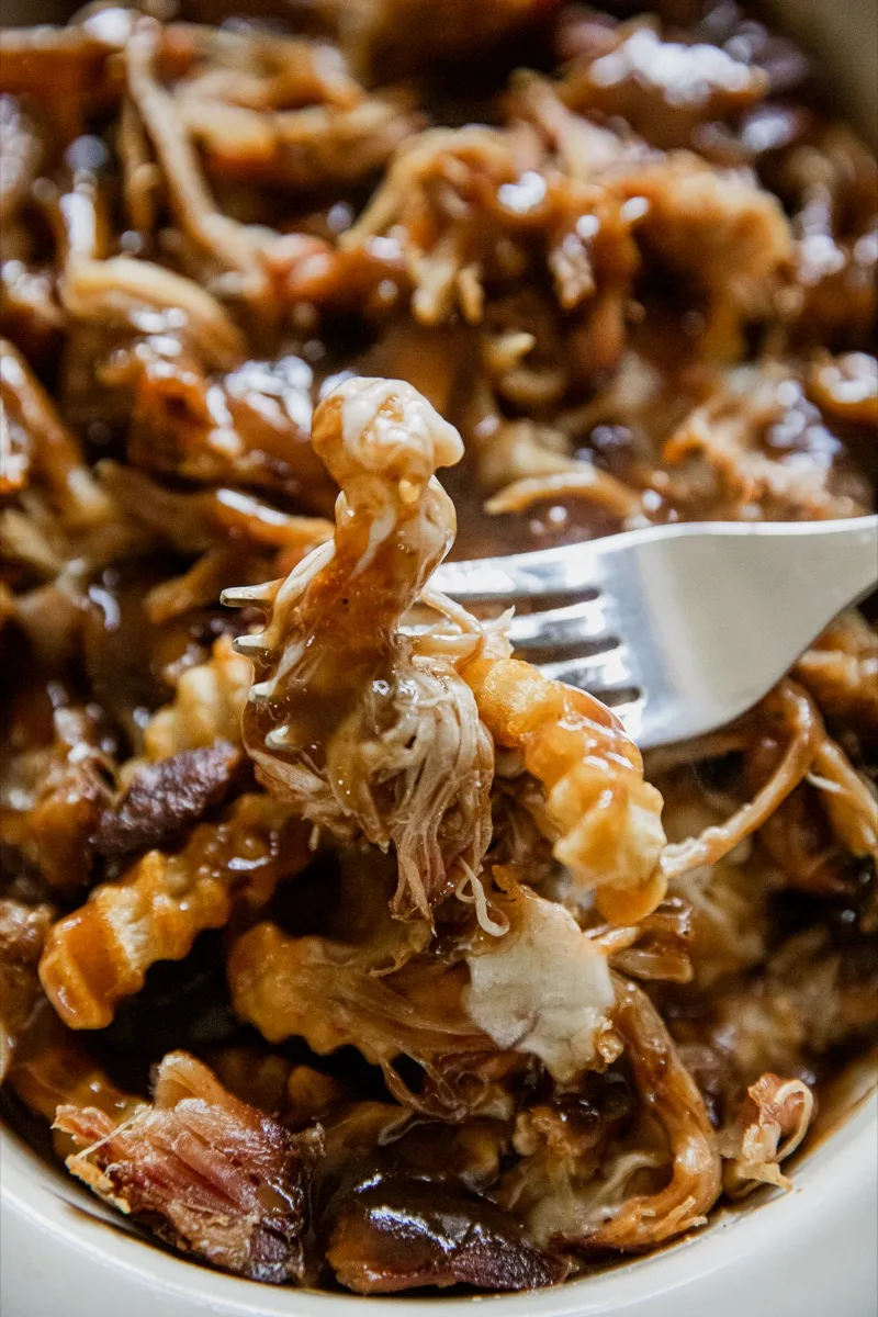 Smoked Pulled Pork Poutine