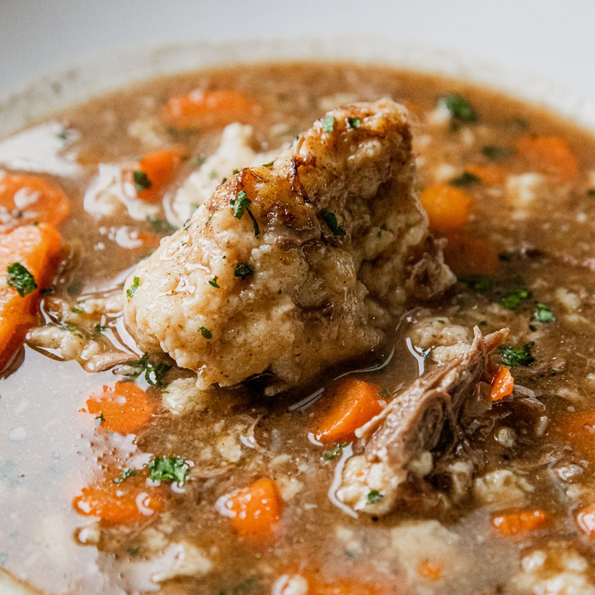 Beef Dumpling Soup Recipe