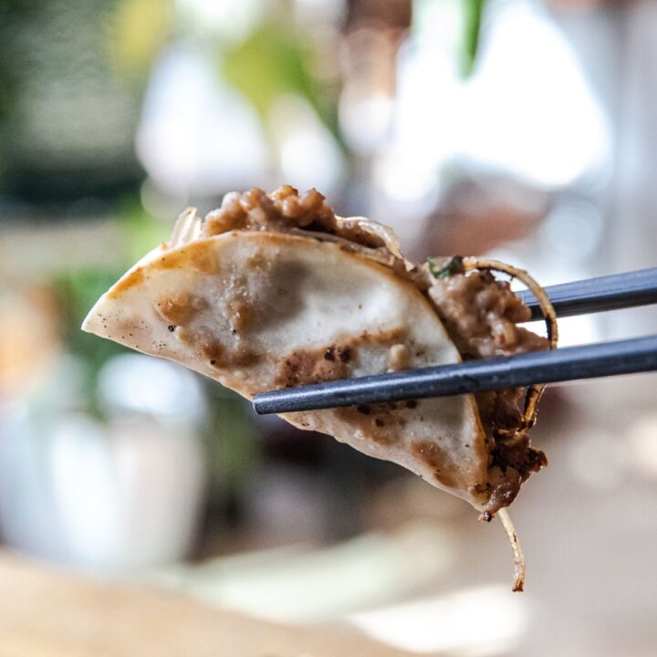 Smash Mandu Dumplings