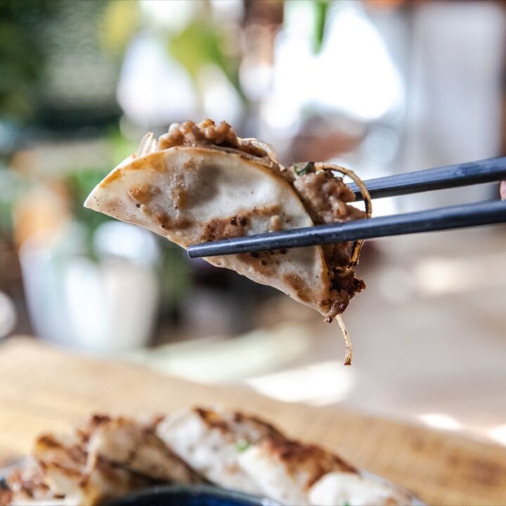Smash Mandu Dumplings-image